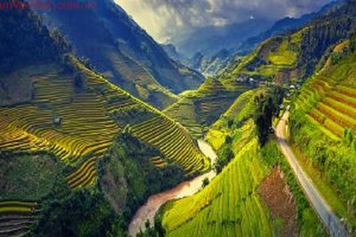 Từ 5 kiểu áo dễ