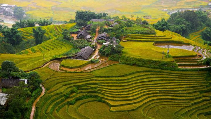 Cô giáo mầm non và hành trình