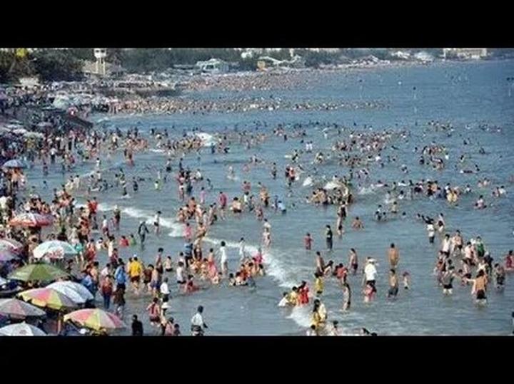 Video ngắn: Cánh đồng lời kể, nông sản sạch