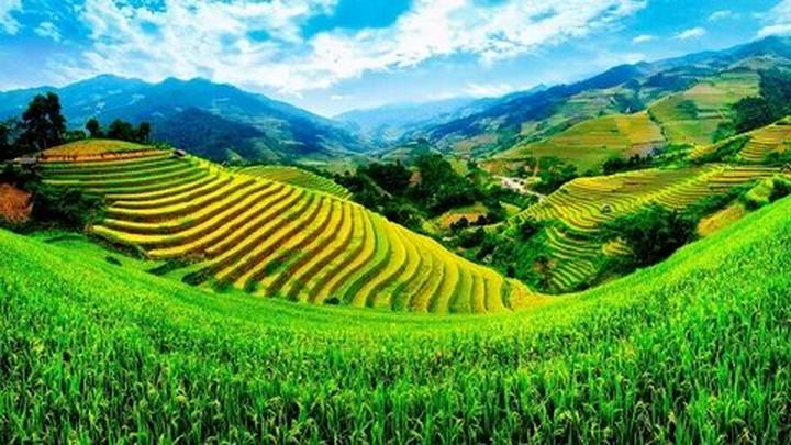 Từ Nhà Sáng Tạo Nhỏ Bé Đến Doanh Nghiệp Thành Công với Hotspot Matrix